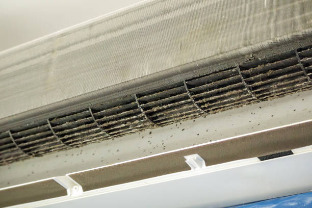 Best Ventilation Cleaning Services  in Melwood, MD